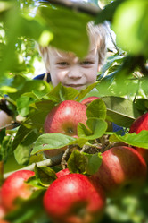 Similar image 1120950