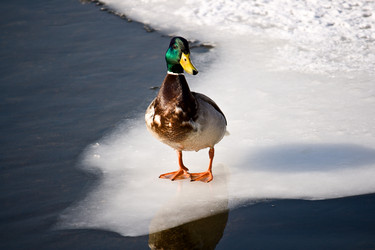 Similar image 1121576