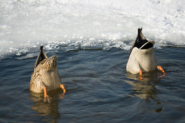 Similar image 1121577