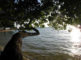 Similar image 1121606