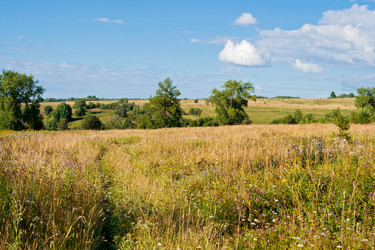 Similar image 1121612