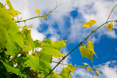 Similar image 1121623