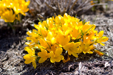 Similar image 1121699