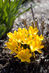 Similar image 1121718