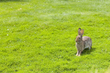 Similar image 1121719