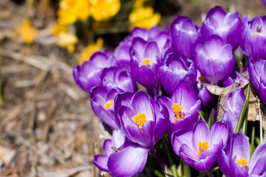 Similar image 1121720