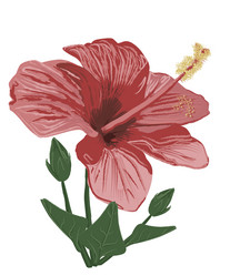 Similar image 1121903