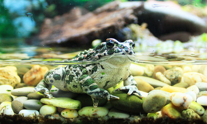 Similar image 1121922