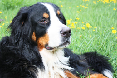 Similar image 1121923