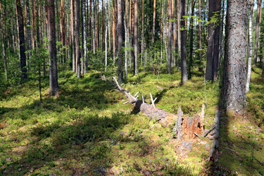 Similar image 1122052