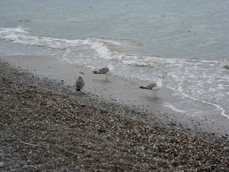 Similar image 1122063