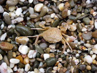 Similar image 1122065