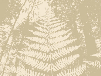 Similar image 1122074