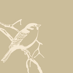 Similar image 1122075