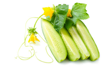 Similar image 1122101