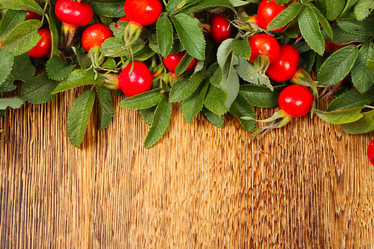 Similar image 1122102