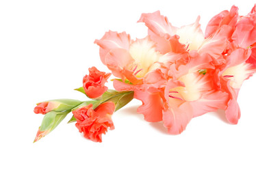 Similar image 1122104