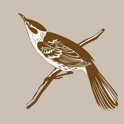 Similar image 1122134