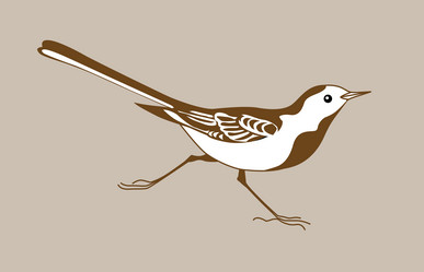 Similar image 1122137