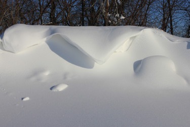 Similar image 1122150