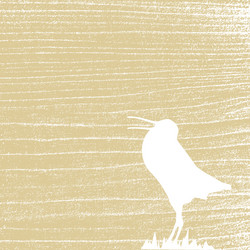 Similar image 1122181