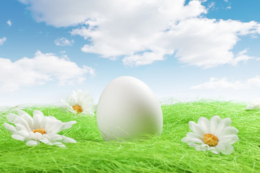 Similar image 1122186