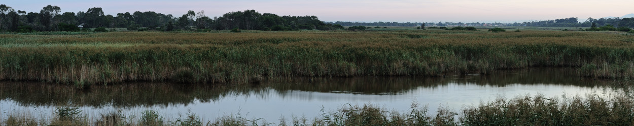 Similar image 1122203