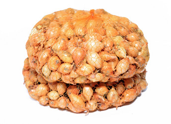 Similar image 1122249