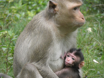 Similar image 1122276