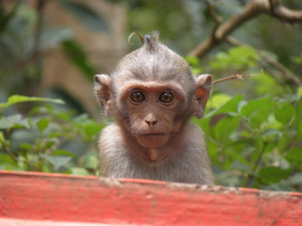 Similar image 1122277