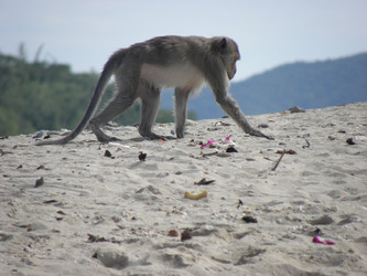 Similar image 1122278