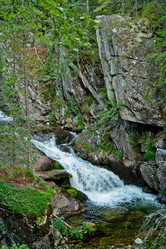 Similar image 1122282