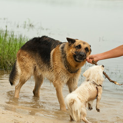 Similar image 1122307