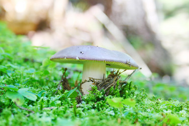 Similar image 1122333