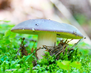 Similar image 1122334