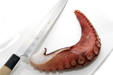 Similar image 1122357