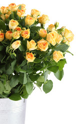 Similar image 1122361