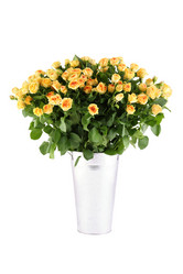 Similar image 1122362