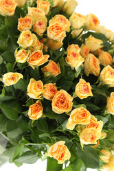 Similar image 1122363