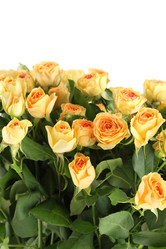 Similar image 1122365