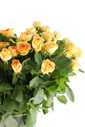 Similar image 1122366