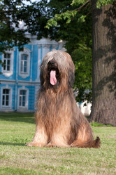 Similar image 1122379