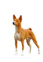 Similar image 1122380