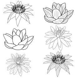 Similar image 1122408