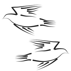 Similar image 1122411