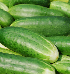 Similar image 1122412