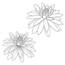 Similar image 1122442