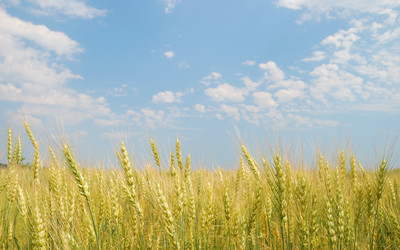 Similar image 1122456