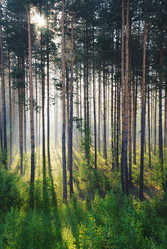 Similar image 1122459