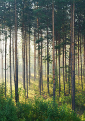 Similar image 1122473